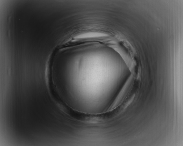 X0000087620448200705181316