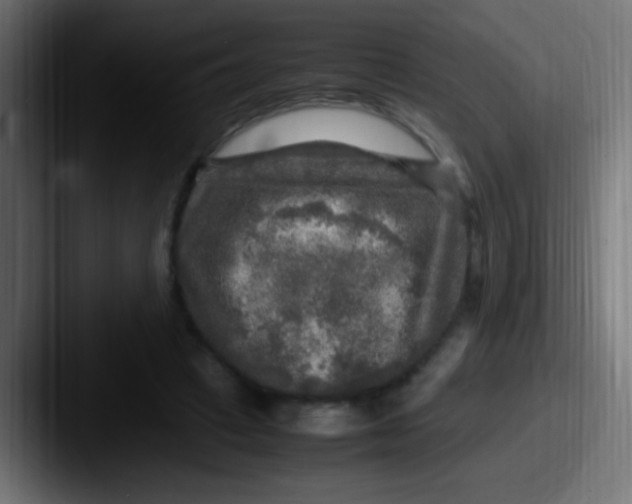 X0000087620449200705181316