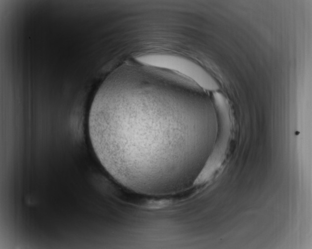 X0000087620450200705181316