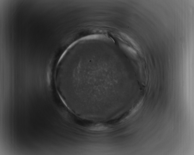 X0000087620451200705181316