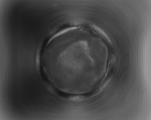 X0000087620452200705181316
