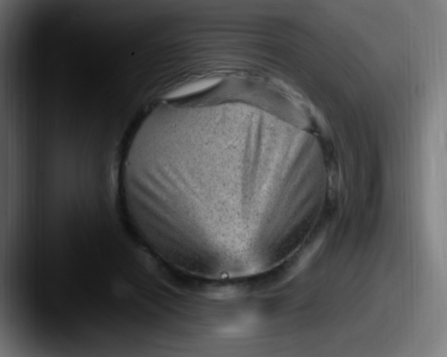 X0000087620454200705181316