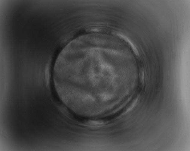 X0000087620455200705181316