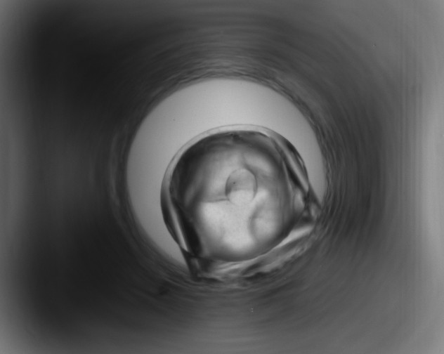 X0000087620456200705181316