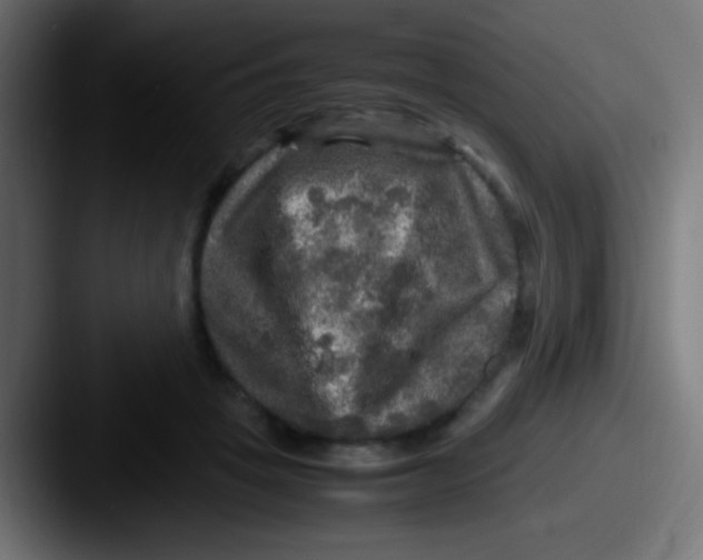 X0000087620457200705181316
