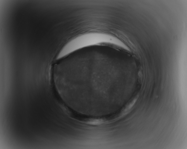 X0000087620458200705181316