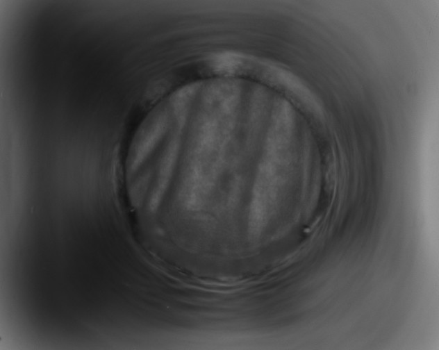 X0000087620459200705181316