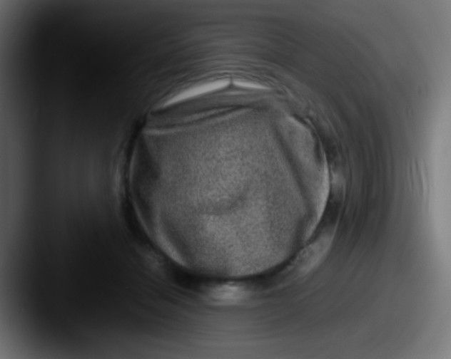 X0000087620460200705181316
