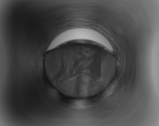 X0000087620462200705181316