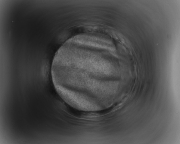 X0000087620463200705181316