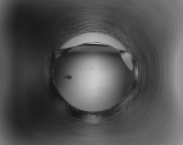 X0000087620464200705181316