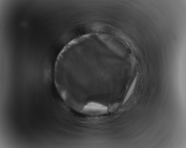 X0000087620465200705181316