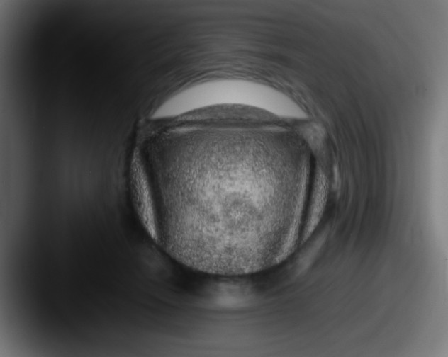 X0000087620466200705181316
