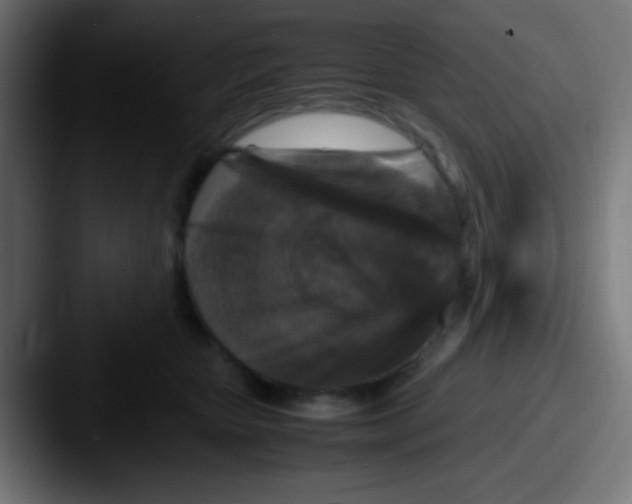 X0000087620467200705181316