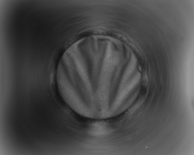 X0000087620468200705181316