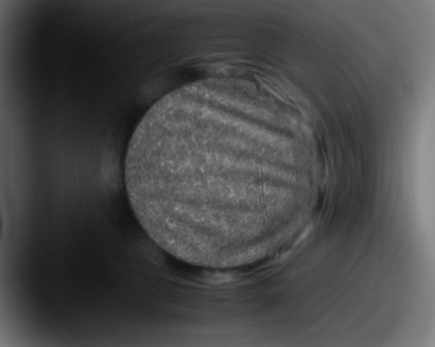 X0000087620469200705181316