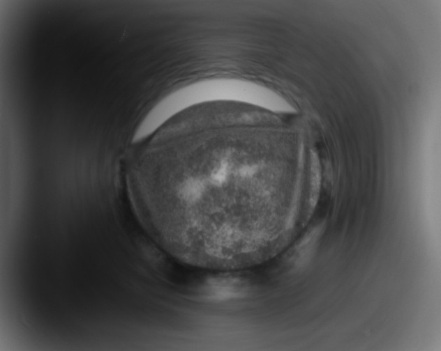 X0000087620470200705181316