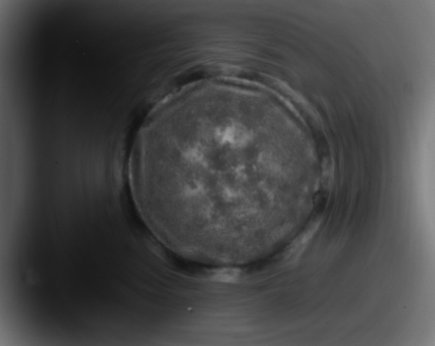 X0000087620474200705181316