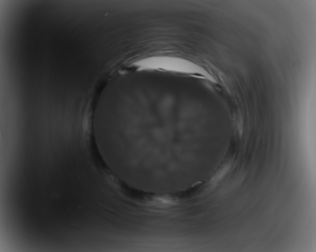 X0000087620475200705181316