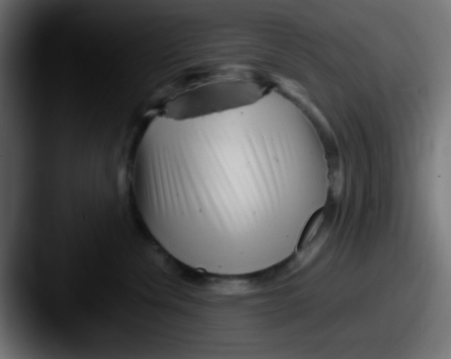 X0000087620476200705181316