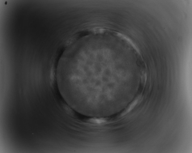 X0000087620477200705181316