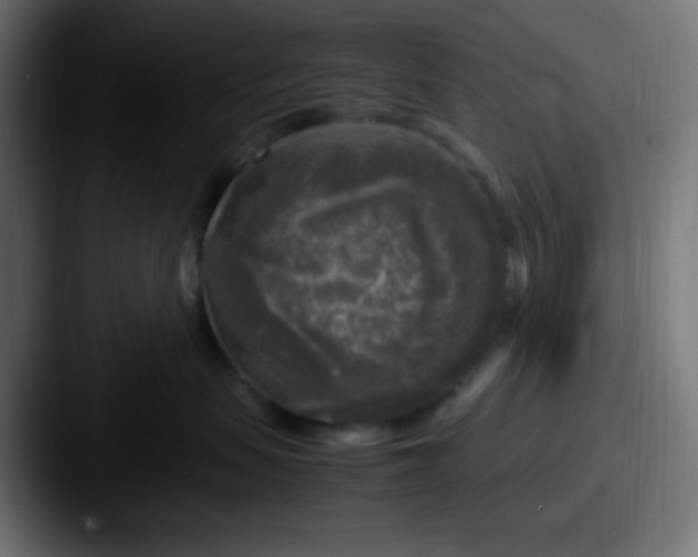 X0000087620479200705181316