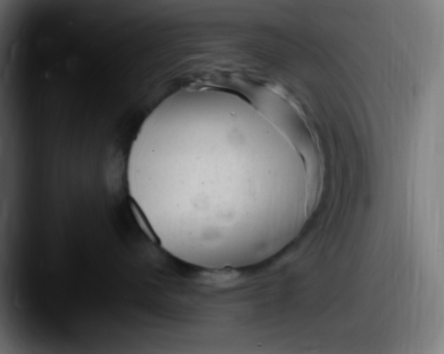 X0000087620480200705181316