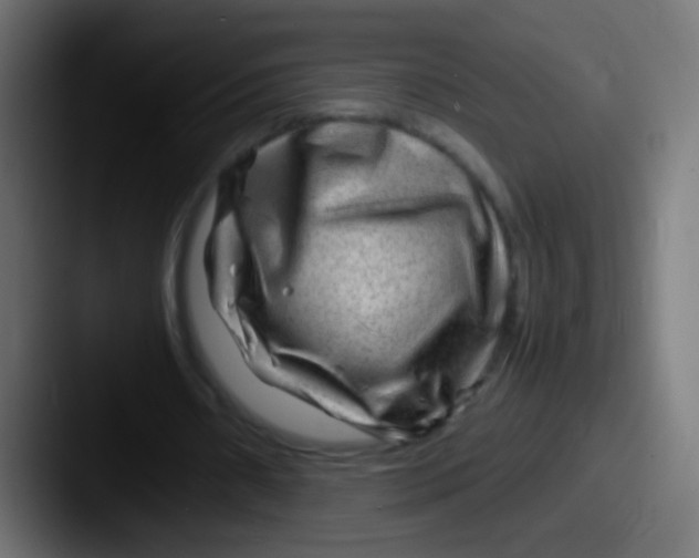 X0000087620482200705181316