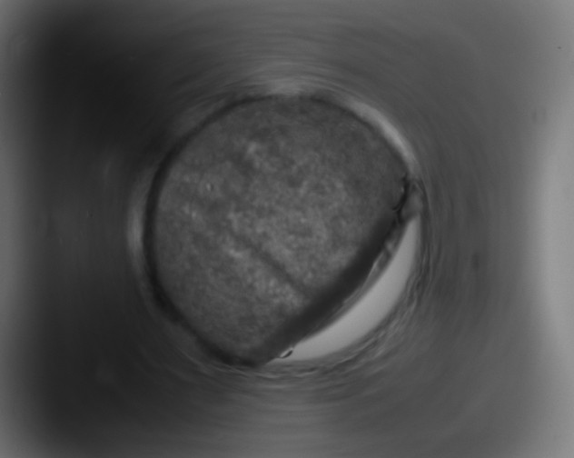 X0000087620483200705181316