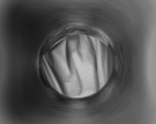 X0000087620486200705181316