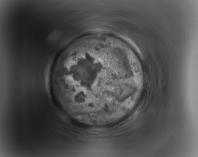 X0000087620487200705181316