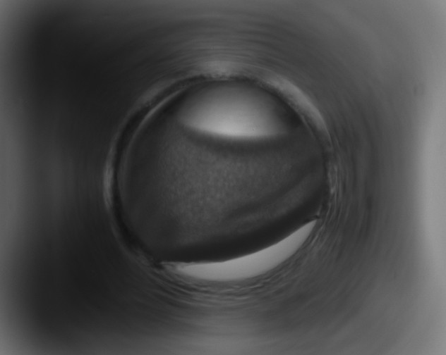 X0000087620488200705181315