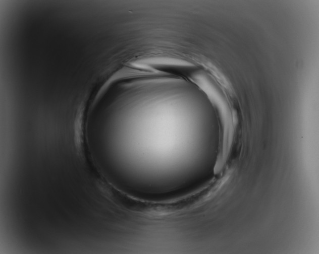 X0000087620489200705181315