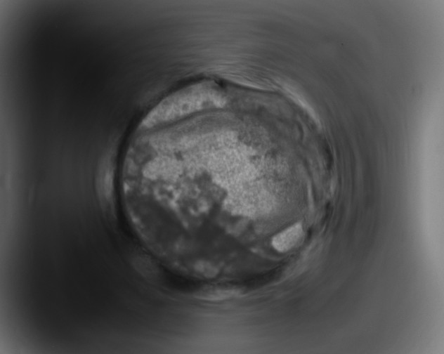 X0000087620491200705181315
