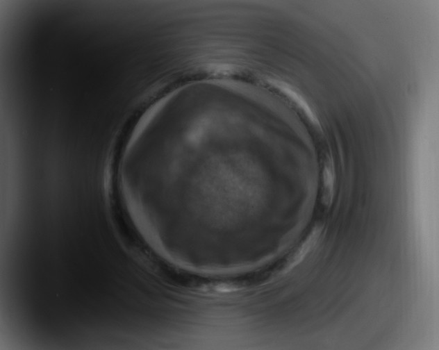 X0000087620492200705181315