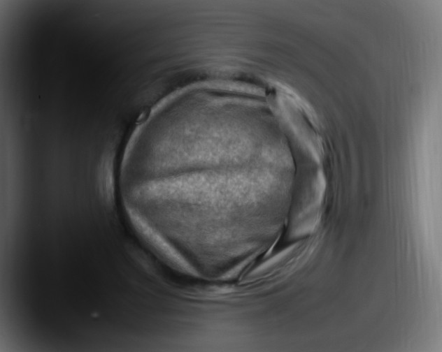X0000087620493200705181315