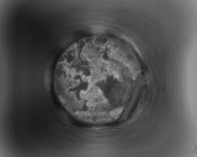 X0000087620495200705181315