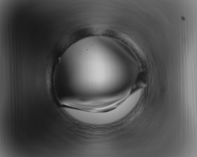 X0000087620497200705181315
