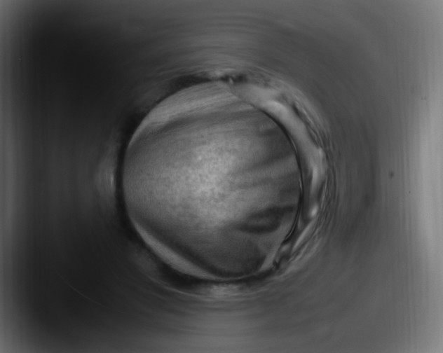 X0000087620501200705181315