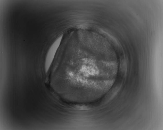 X0000087620502200705181315