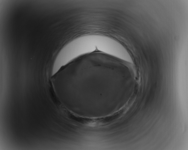 X0000087620504200705181315
