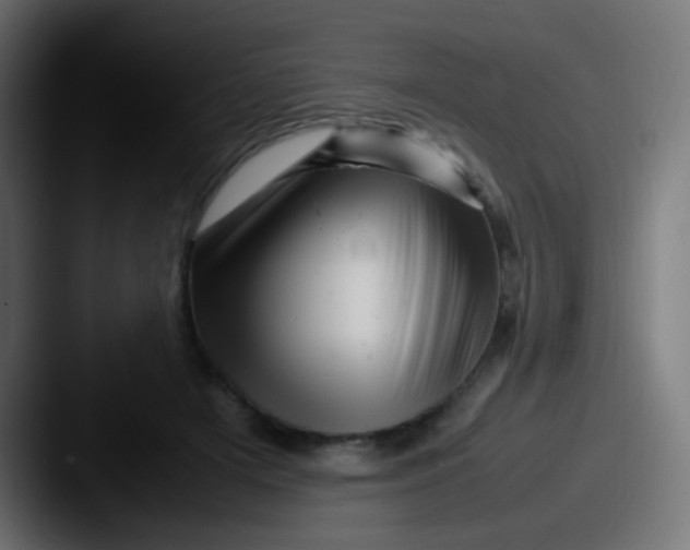 X0000087620505200705181315