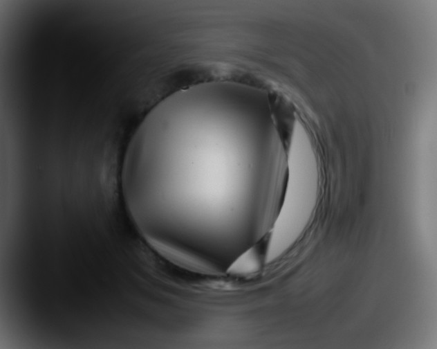 X0000087620509200705181315