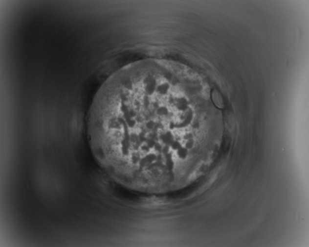 X0000087620511200705181315