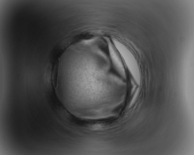 X0000087620513200705181315
