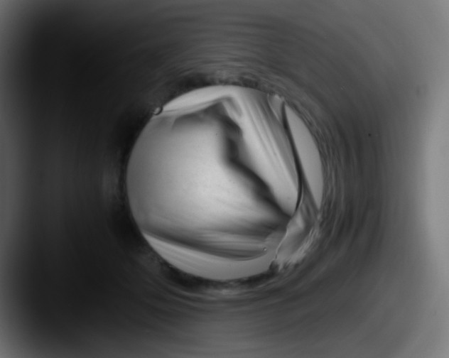 X0000087620514200705181315