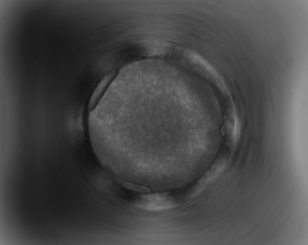 X0000087620516200705181315
