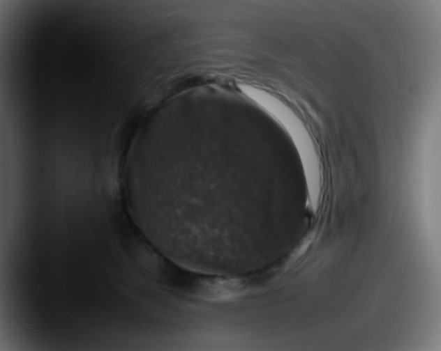 X0000087620517200705181315