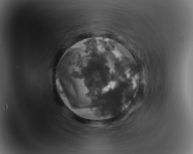 X0000087620519200705181315