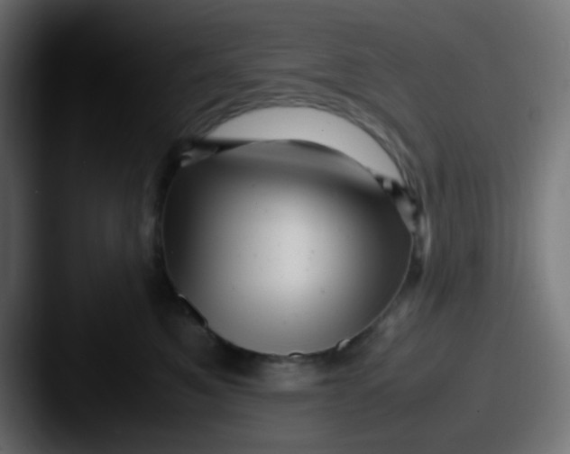 X0000087620521200705181315